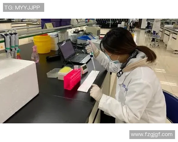 广州排球队的转换体系与战术创新探讨